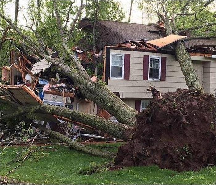 An uprooted tree crashing down on a house